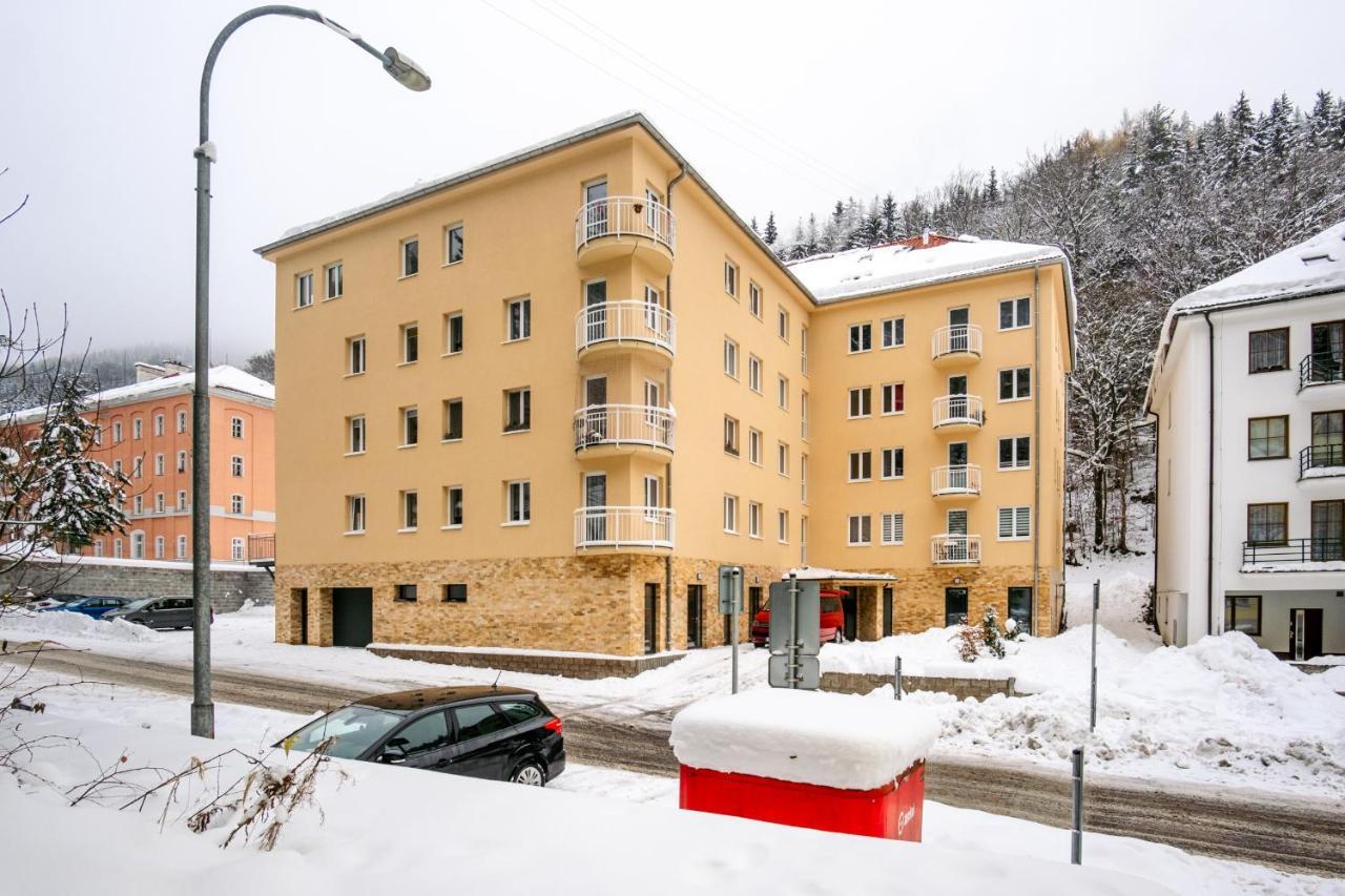 Boutique Apartment 23 - Rezidence K Lanovce Яхимов Экстерьер фото